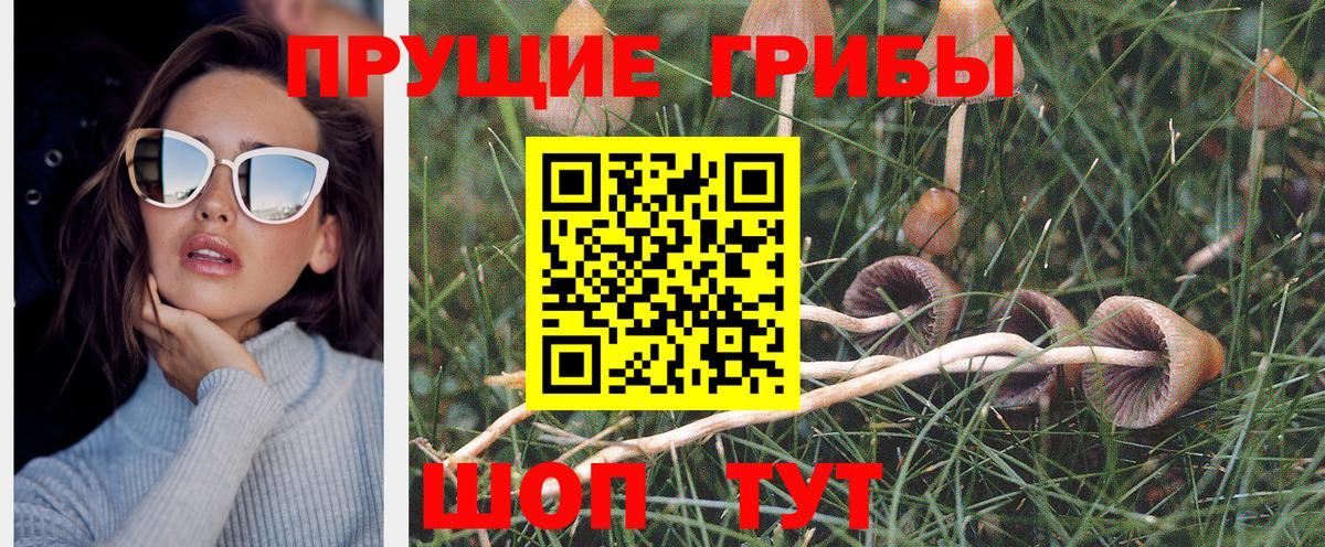 Учалы  Псилоцибиновые грибы мицелий  Вход с VPN 